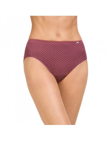 AVET pack dos braguitas mujer invierno  209