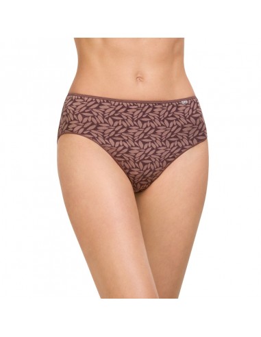 AVET braguita mujer invierno midi estampada microfibra 32074